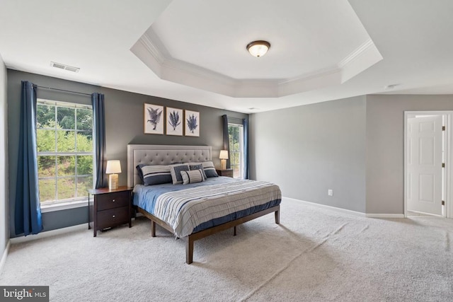 12314 Osprey Ln, Culpeper, VA 22701 - bedroom featuring crown molding, a raised ceiling, and carpet floors