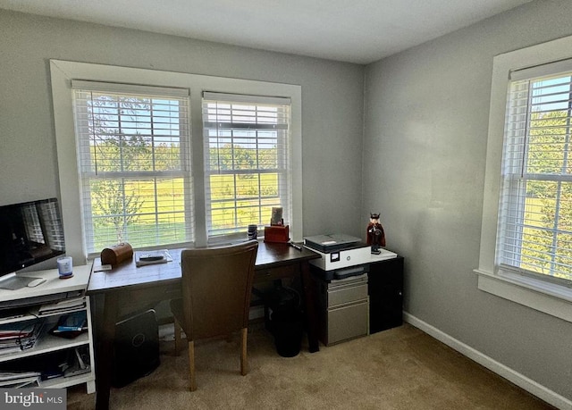 10004 Plank Rd, Spotsylvania, VA 22553 - photo 42
