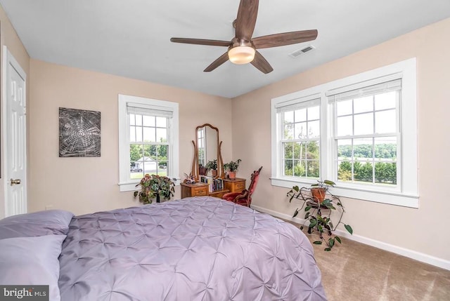 10004 Plank Rd, Spotsylvania, VA 22553 - photo 13