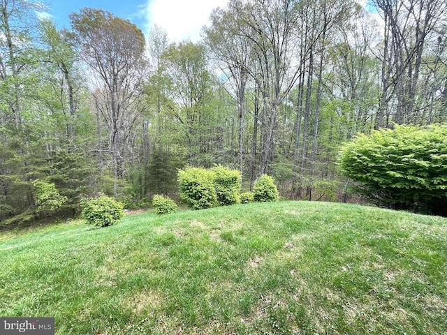 view of green lawn