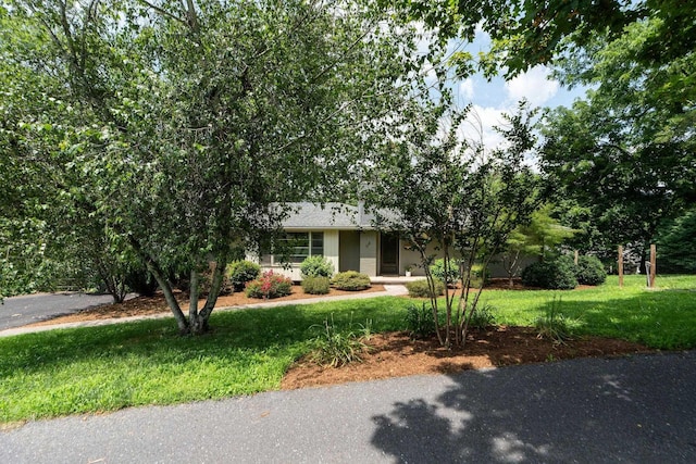 916 Selma Blvd, Staunton, VA 24401 - view of property hidden behind natural elements featuring a front yard