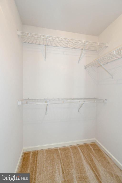 295 Amber Cir, Warrenton, VA 20186 - photo 32
