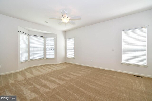 295 Amber Cir, Warrenton, VA 20186 - photo 17