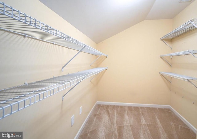 295 Amber Cir, Warrenton, VA 20186 - photo 39