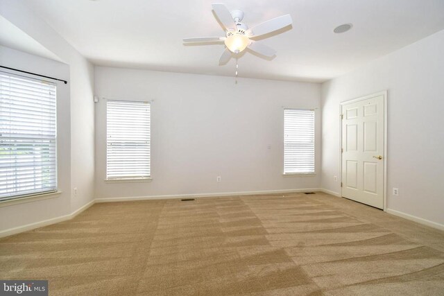 295 Amber Cir, Warrenton, VA 20186 - photo 18
