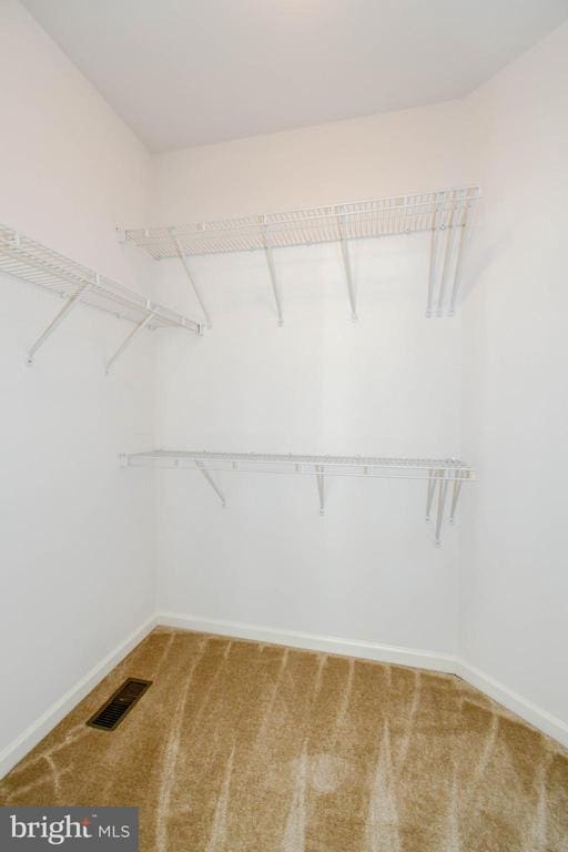 295 Amber Cir, Warrenton, VA 20186 - photo 20