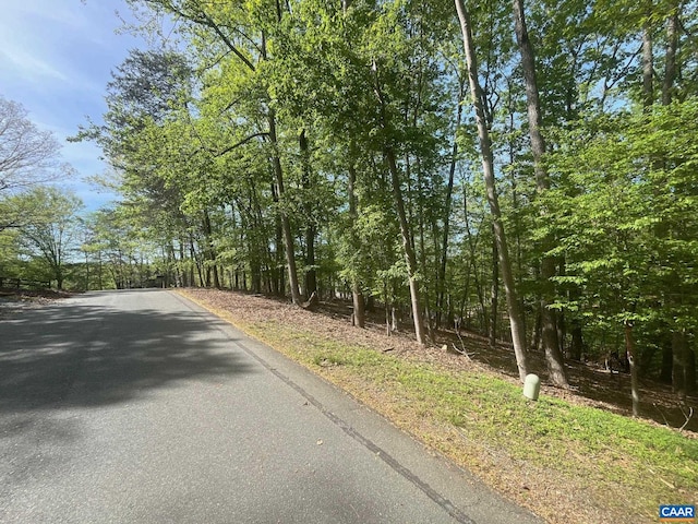 69 Laguna Rd, Palmyra, VA 22963