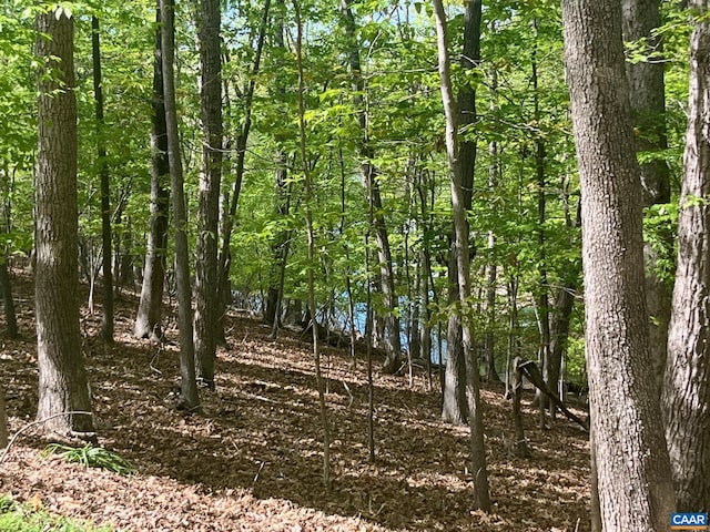 69 Laguna Rd, Palmyra, VA 22963