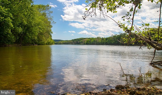 35663 Aspen Way, Locust Grove, VA 22508 - water view featuring a forest
