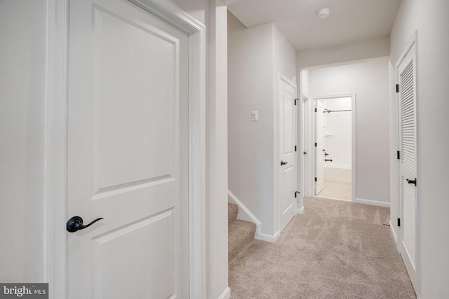 35663 Aspen Way, Locust Grove, VA 22508 - hall with carpet and baseboards