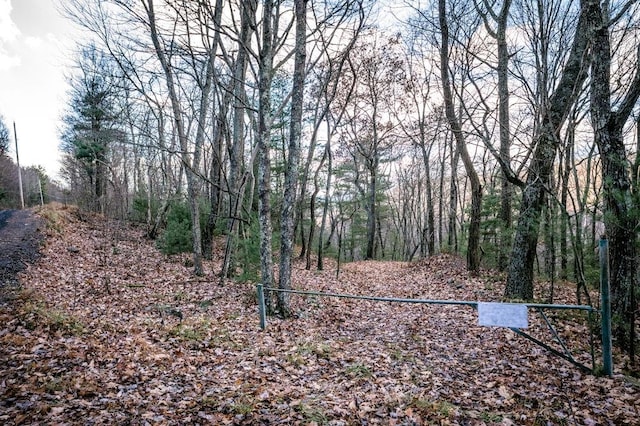 LOT22 Buck Ridges Rd, Franklin, WV 26807