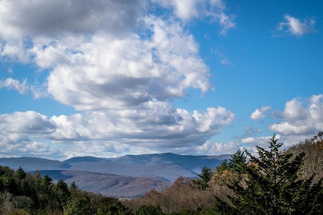 LOT22 Buck Ridges Rd, Franklin, WV 26807