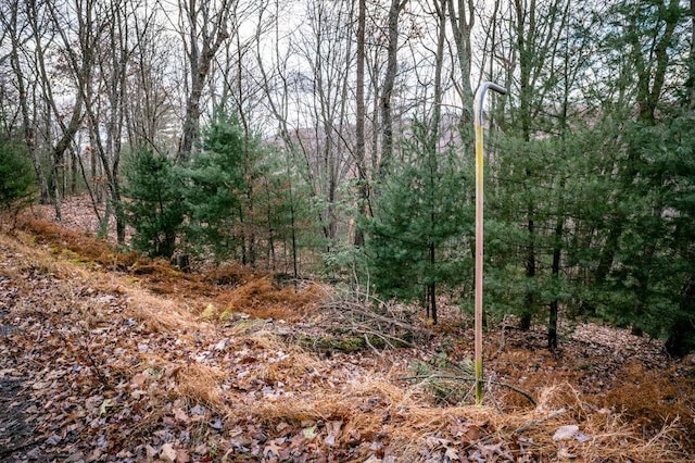 LOT22 Buck Ridges Rd, Franklin, WV 26807