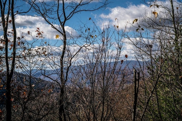 LOT22 Buck Ridges Rd, Franklin, WV 26807