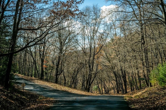 LOT22 Buck Ridges Rd, Franklin, WV 26807