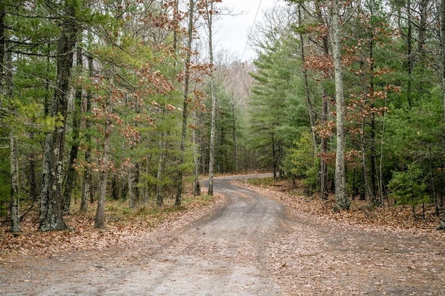 LOT22 Buck Ridges Rd, Franklin, WV 26807