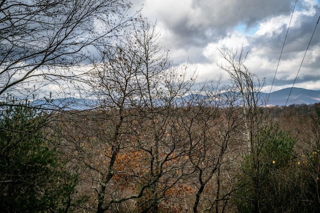 LOT22 Buck Ridges Rd, Franklin, WV 26807