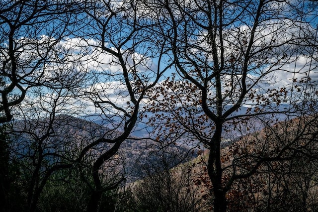 LOT22 Buck Ridges Rd, Franklin, WV 26807