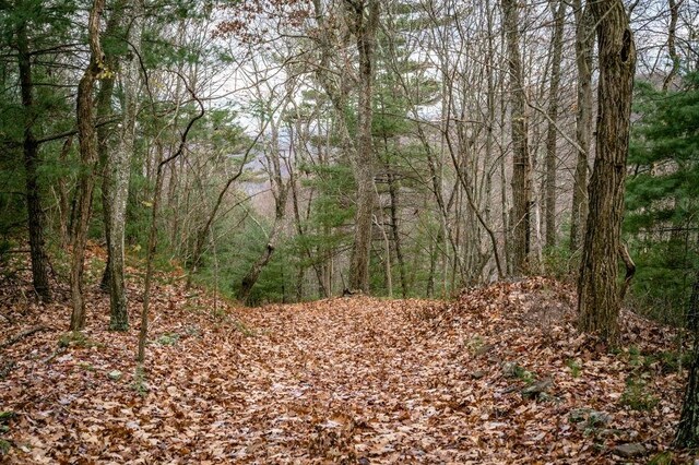 LOT22 Buck Ridges Rd, Franklin, WV 26807