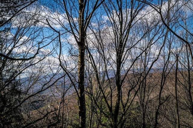 LOT22 Buck Ridges Rd, Franklin, WV 26807