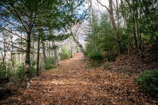 LOT22 Buck Ridges Rd, Franklin, WV 26807