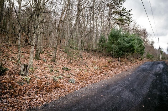 LOT22 Buck Ridges Rd, Franklin, WV 26807