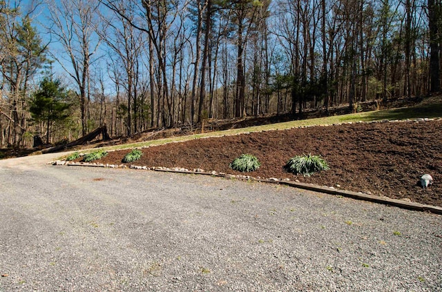 9839 Brunk Spring Ln, Broadway, VA 22815 - view of yard