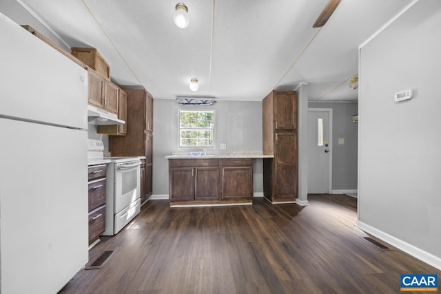 289 Mountain Laurel Rd, Palmyra, VA 22963 - kitchen with white appliances, under cabinet range hood, dark wood finished floors, light countertops, and baseboards