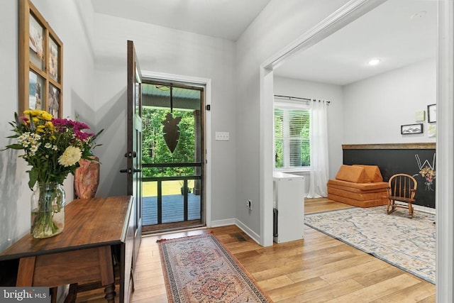 275 Freestyle Ln, Mineral, VA 23117 - entryway with healthy amount of natural light and wood finished floors