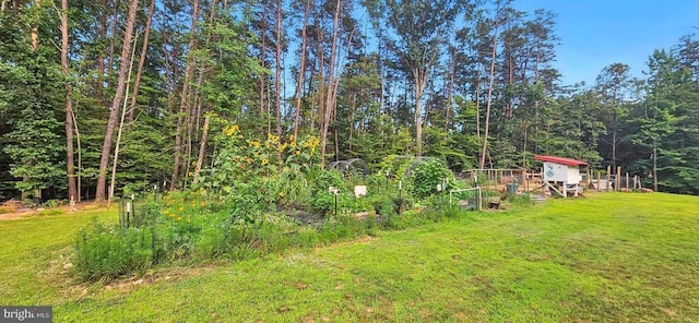 275 Freestyle Ln, Mineral, VA 23117 - view of green lawn with a vegetable garden, an outdoor structure, and a wooded view
