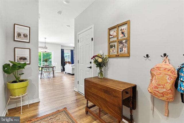 275 Freestyle Ln, Mineral, VA 23117 - corridor with wood finished floors and recessed lighting