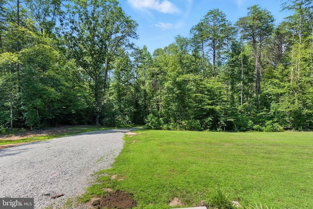 275 Freestyle Ln, Mineral, VA 23117 - view of road featuring a wooded view