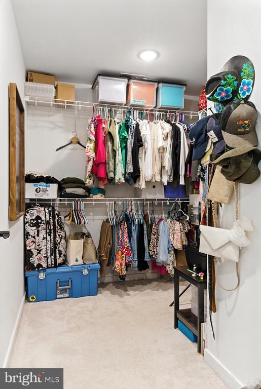 275 Freestyle Ln, Mineral, VA 23117 - spacious closet featuring carpet