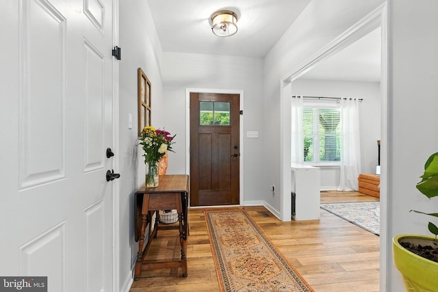 275 Freestyle Ln, Mineral, VA 23117 - foyer featuring light wood-style floors and baseboards
