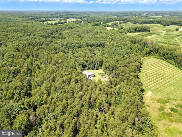 275 Freestyle Ln, Mineral, VA 23117 - view of rural area featuring a forest
