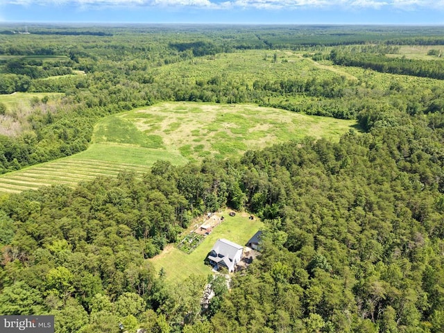 275 Freestyle Ln, Mineral, VA 23117 - aerial view of sparsely populated area featuring a heavily wooded area