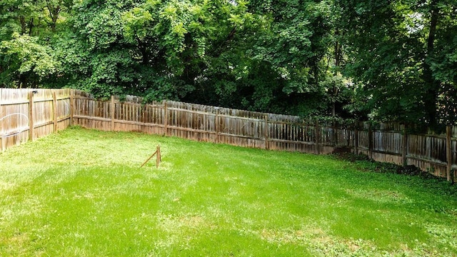 809 Parkview Ave, Staunton, VA 24401 - photo 36