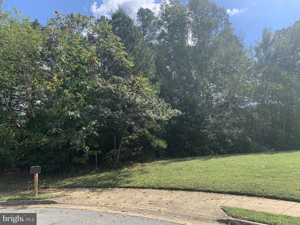 10325 Litchfield Dr, Spotsylvania, VA 22553