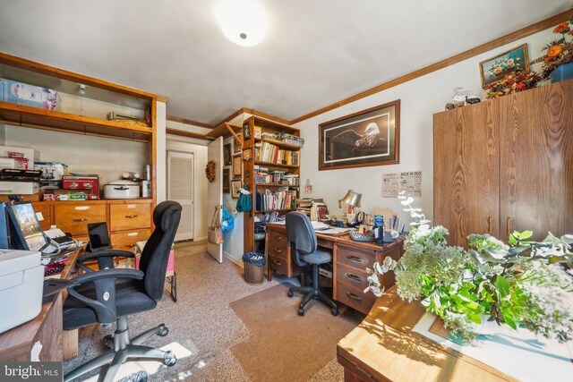 carpeted home office featuring crown molding
