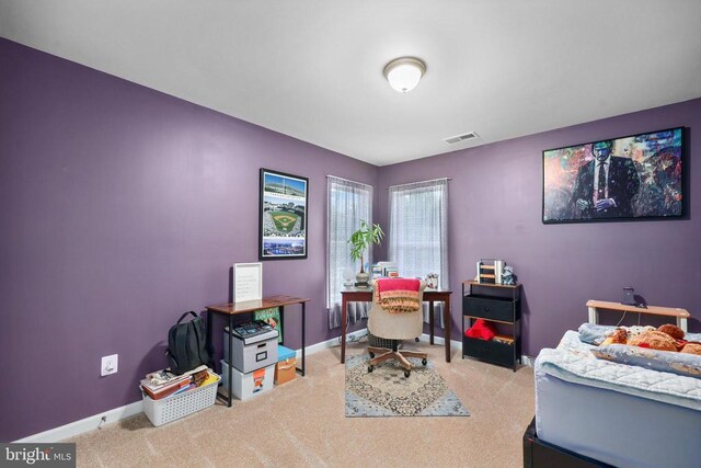 6735 Thornbrook Ln, Spotsylvania, VA 22551 - photo 28