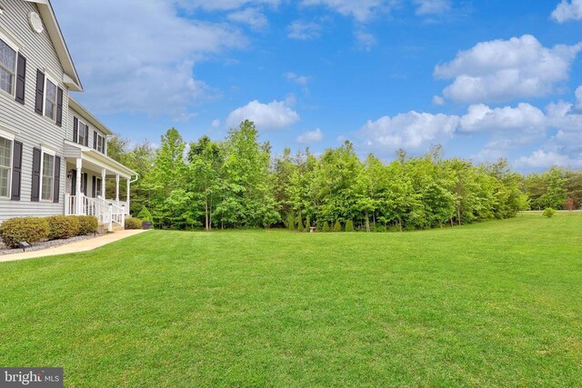 6735 Thornbrook Ln, Spotsylvania, VA 22551 - photo 41