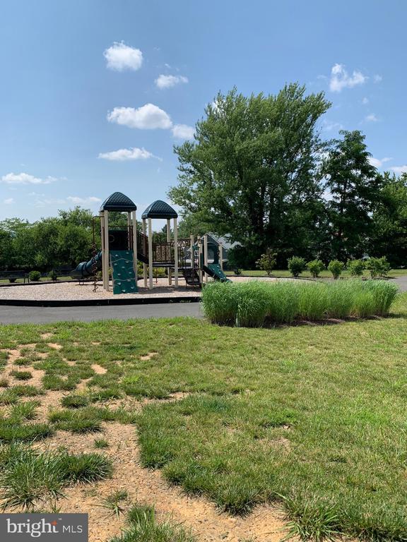  - community jungle gym featuring a lawn
