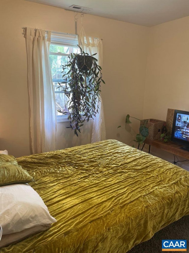 815 Ridge St, Charlottesville, VA 22902 - view of bedroom