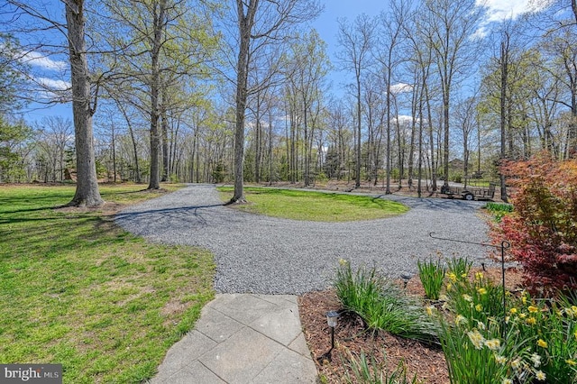 211 Windswept Rd, Mineral, VA 23117 - photo 62