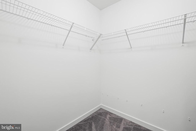 7806 Shawmont Rd, Fredericksburg, VA 22407 - walk in closet with dark carpet