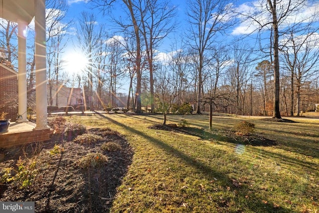 8413 Pathfinders Ct, Spotsylvania, VA 22553 - view of yard