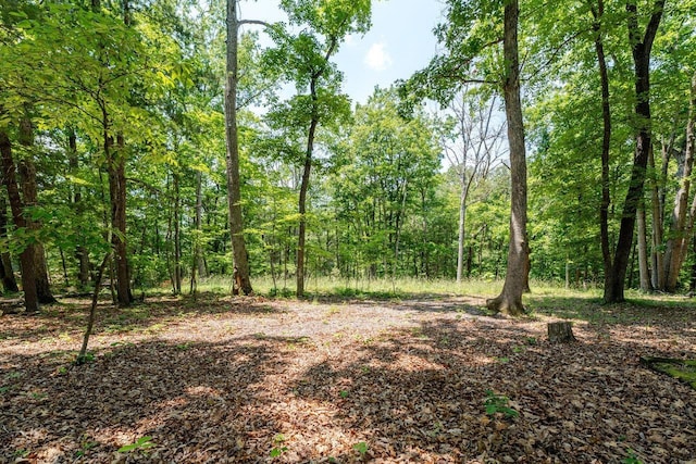 4201 Brown Mountain Ln, Elkton, VA 22827 - view of woods