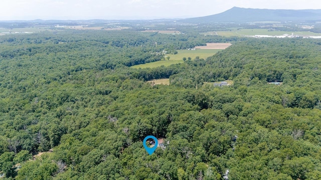 4201 Brown Mountain Ln, Elkton, VA 22827 - bird's eye view of a forest and mountains