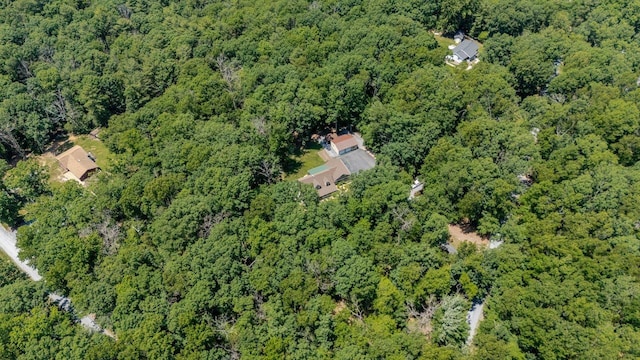 4201 Brown Mountain Ln, Elkton, VA 22827 - aerial overview of property's location with a forest