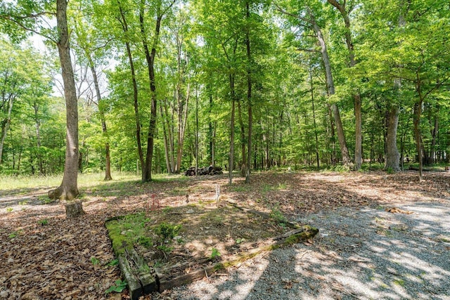 4201 Brown Mountain Ln, Elkton, VA 22827 - view of wooded area